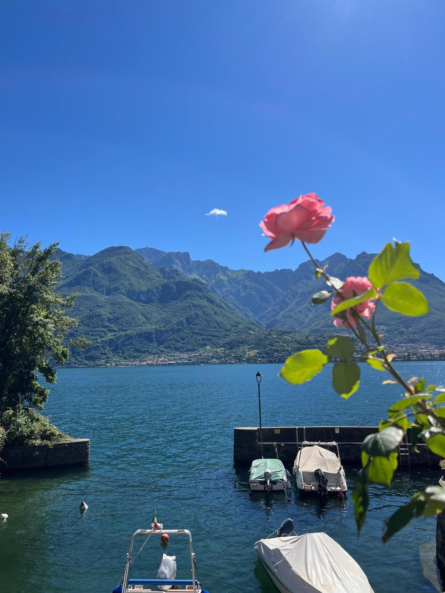 Domus Graziana - Lake Front Oliveto Lario Экстерьер фото
